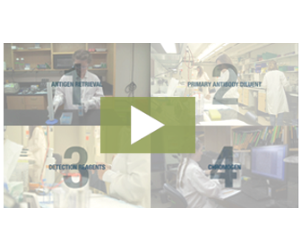 4-steps-to-better-ihc-4 4-steps-to-better-ihc-4