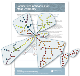 carrier-free-antibodies-3 carrier-free-antibodies-3