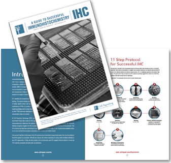 ihc-guide-2 ihc-guide-2